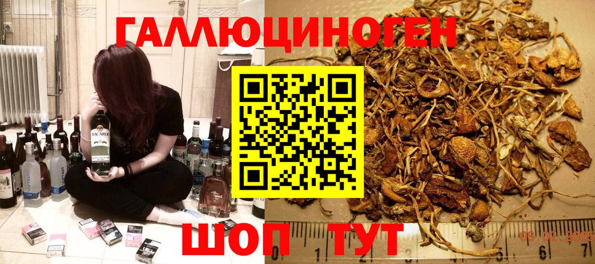 Псилоцибиновые грибы ЛСД  даркнет сайт  Мелеуз  Вход с VPN 