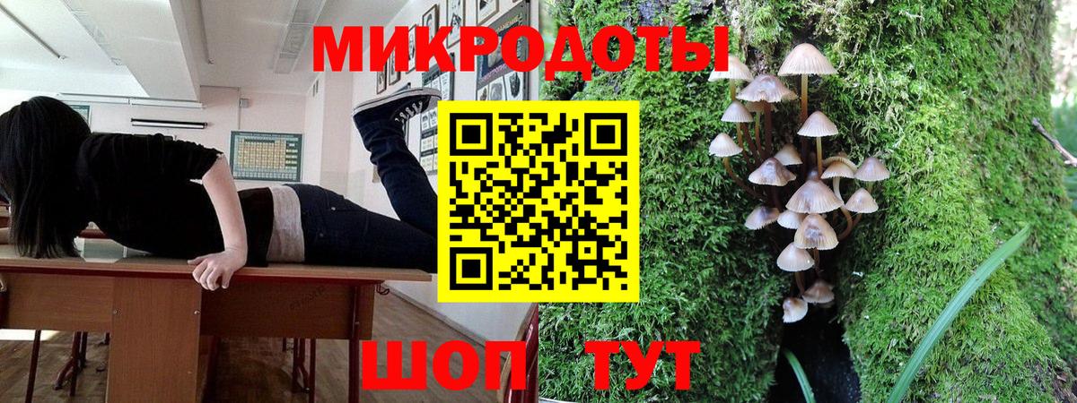 Псилоцибиновые грибы Psilocybine cubensis Мелеуз